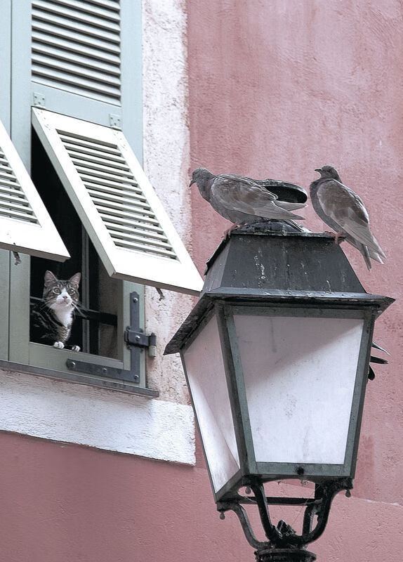 中超豪门青训体系全面升级,稳步向前走,中超青训大户