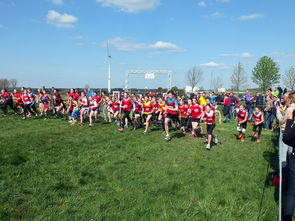 爱游戏体育平台-青少年选拔机制改革更加公开透明吸引更多优秀苗子参与，青少年选拔赛比赛结果